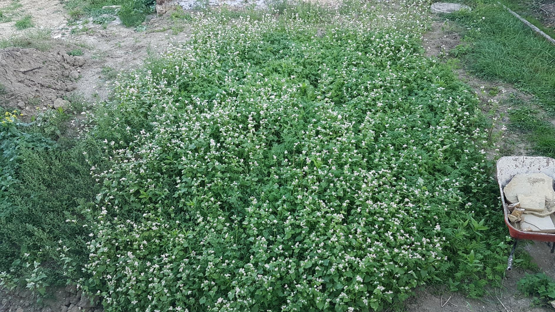 Lückenhaft
