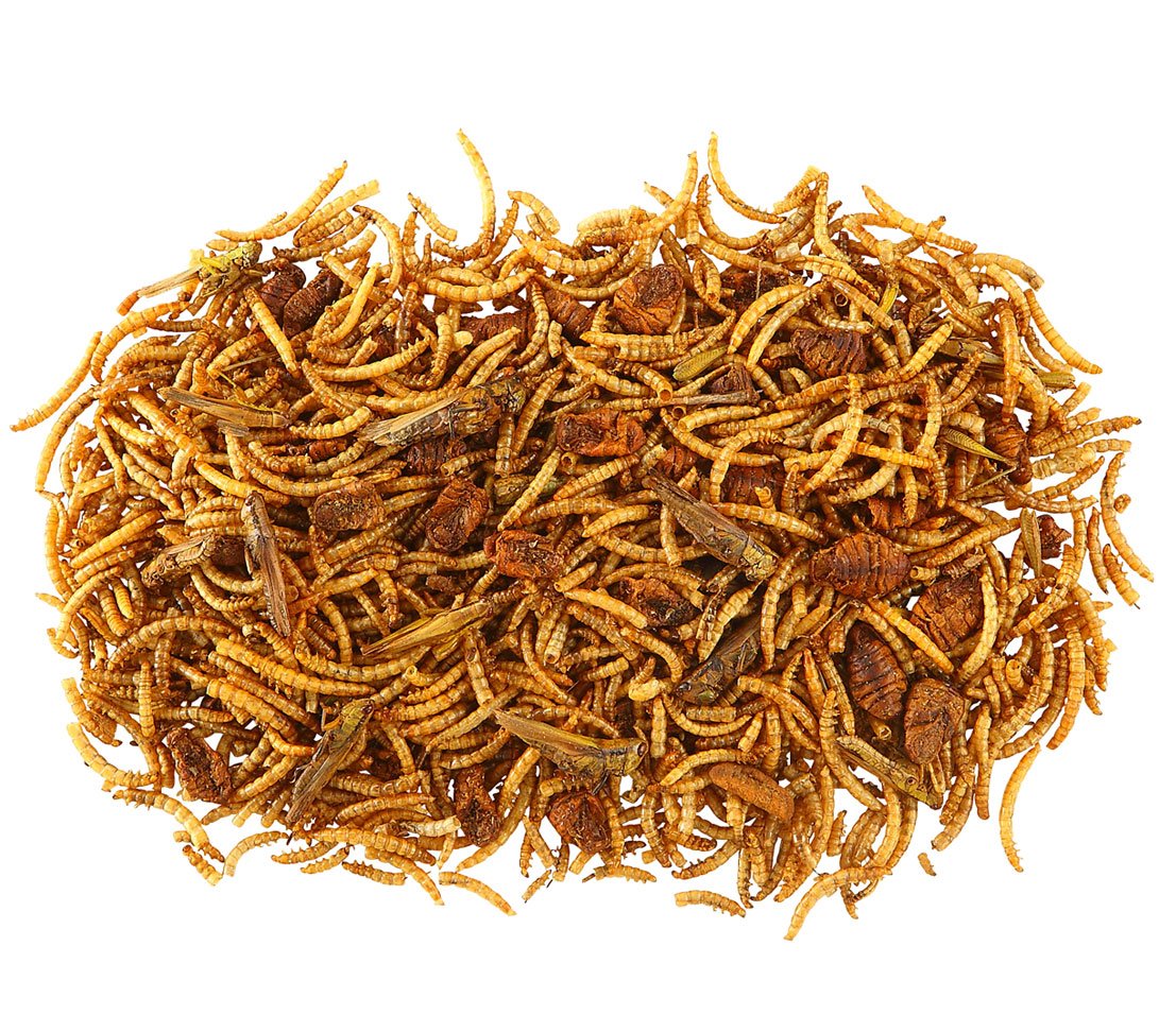 dehner-best-nature-nagersnack-insekten-mix-3x60-g image 3