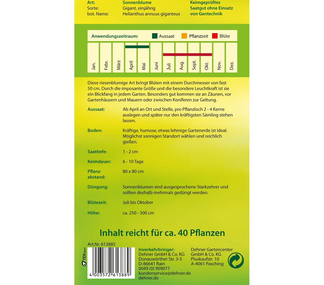 dehner-riesen-sonnenblume-gigant-blumensamen-5er-pack image 2