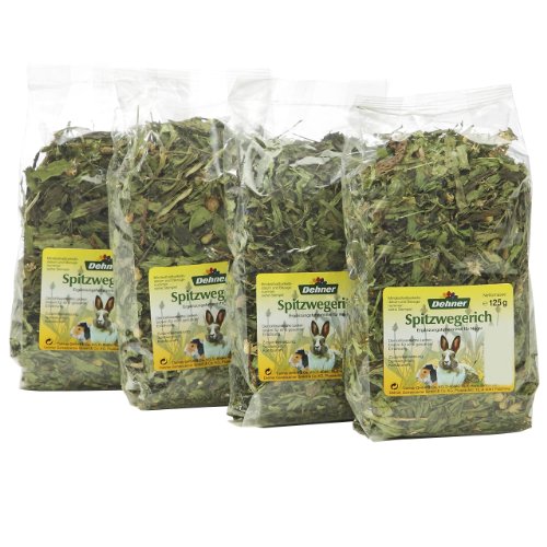dehner-spitzwegerich-nagerfutter-1-kg-f-rdert-zahnabrieb image 4