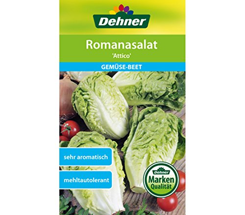 dehner-romanasalat-attico-saatgut-5er-pack-aromatisch image 3