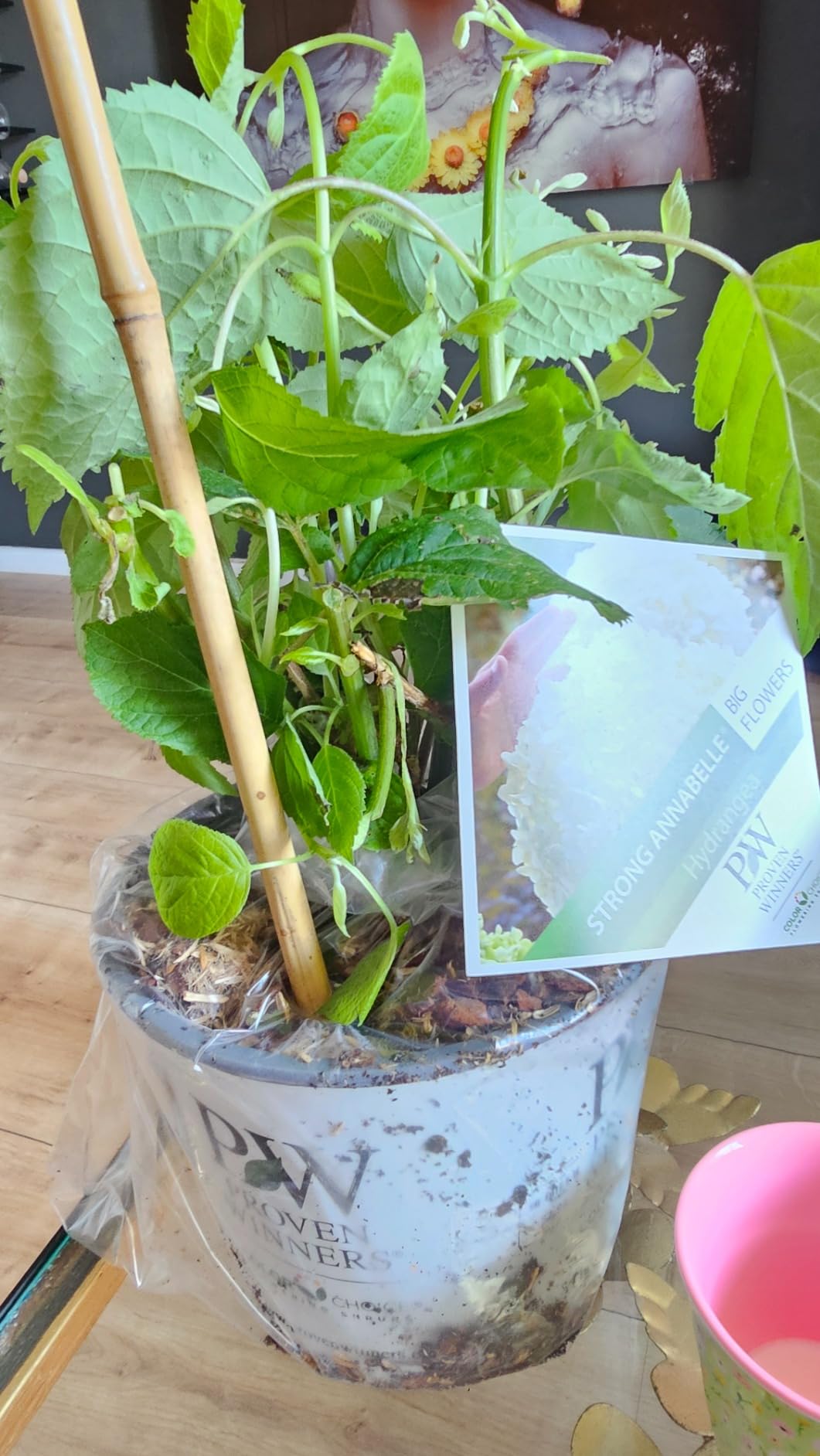 Große Blüten