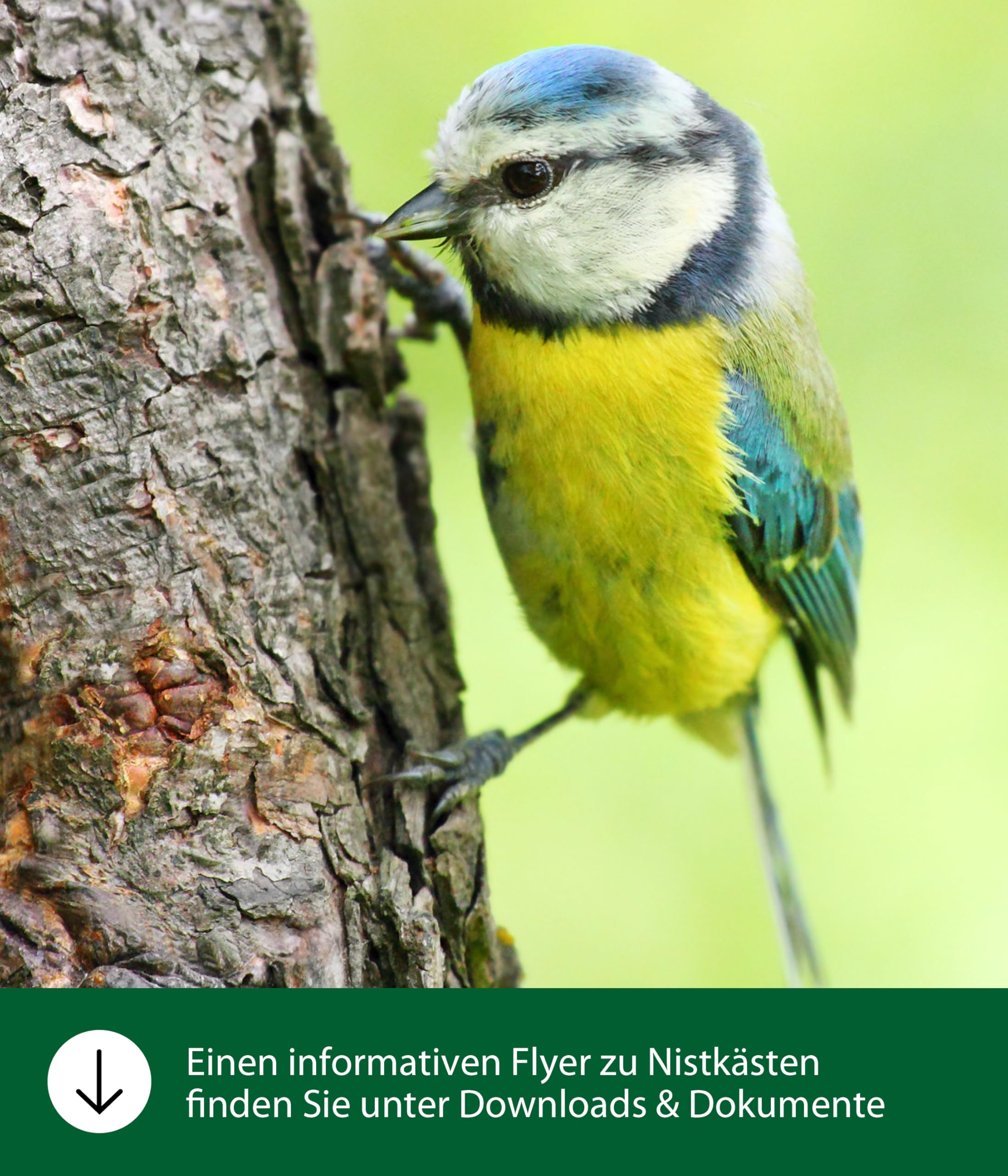 dehner-natura-jonna-nistkasten-holz-32mm-einflugloch-natur image 3