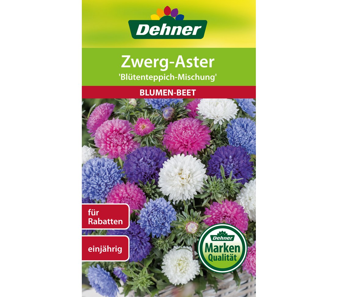 dehner-zwerg-aster-bl-tenteppich-blumensamen-5er-pack-einj-hrig image 1