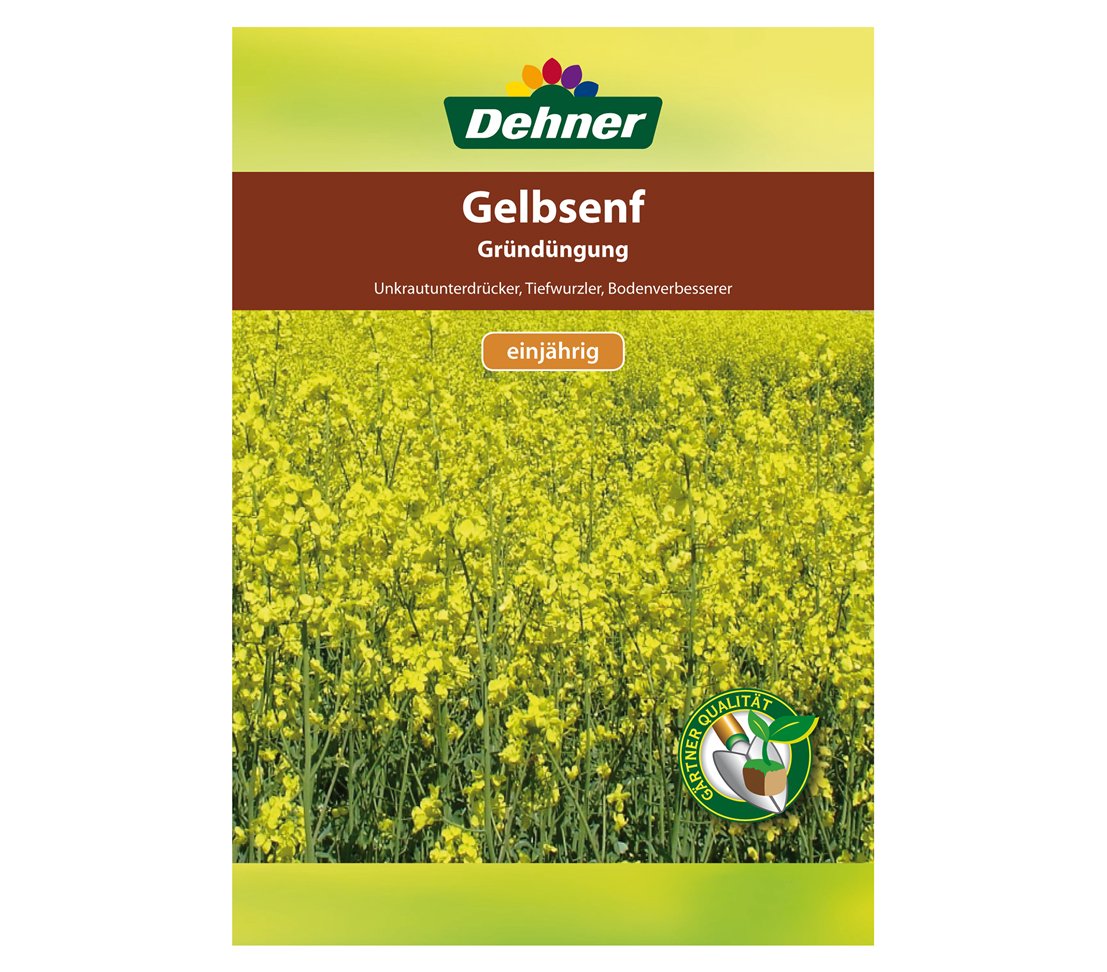 dehner-gelbsenf-gr-nd-ngung-saatgut-500g-f-r-100-qm image 1