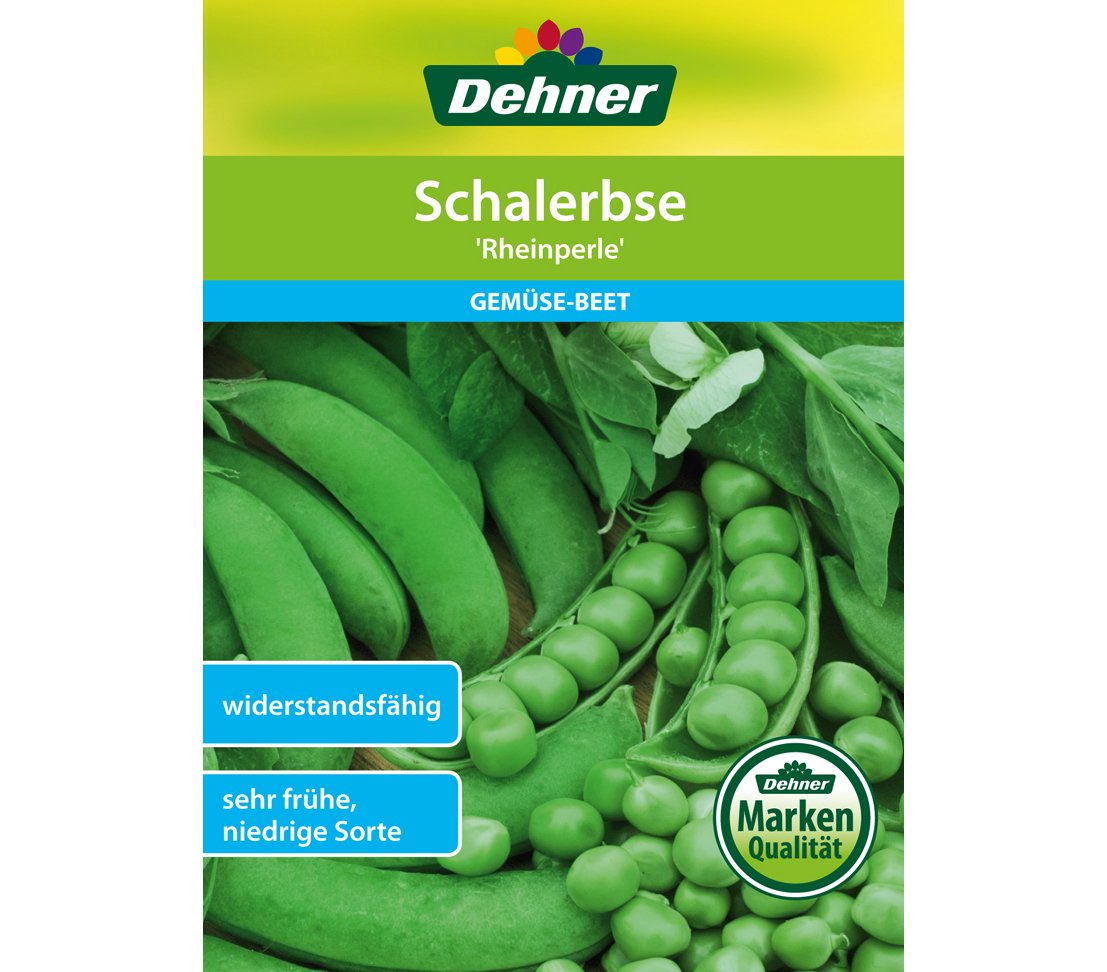dehner-schalerbse-rheinperle-saatgut-5er-pack-fr-h-robust image 1