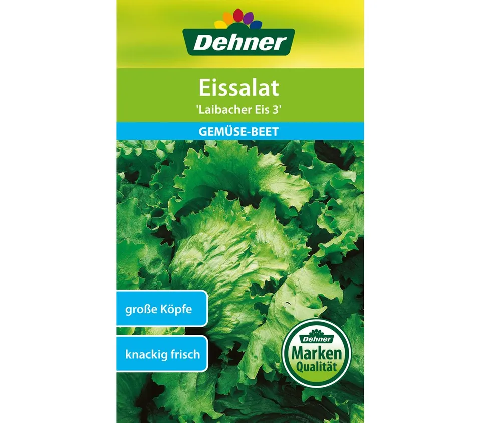 dehner-laibacher-eis-3-eissalat-samen-5er-pack-knackig image 1