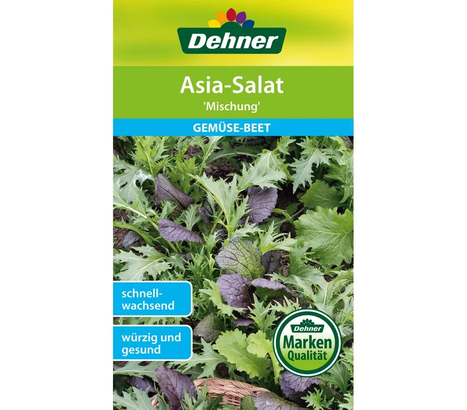 dehner-asia-salat-mischung-gem-sesamen-5x4g-schnellwachsend image 1