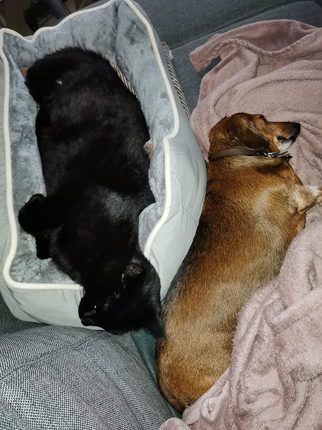 Kissen waschbar