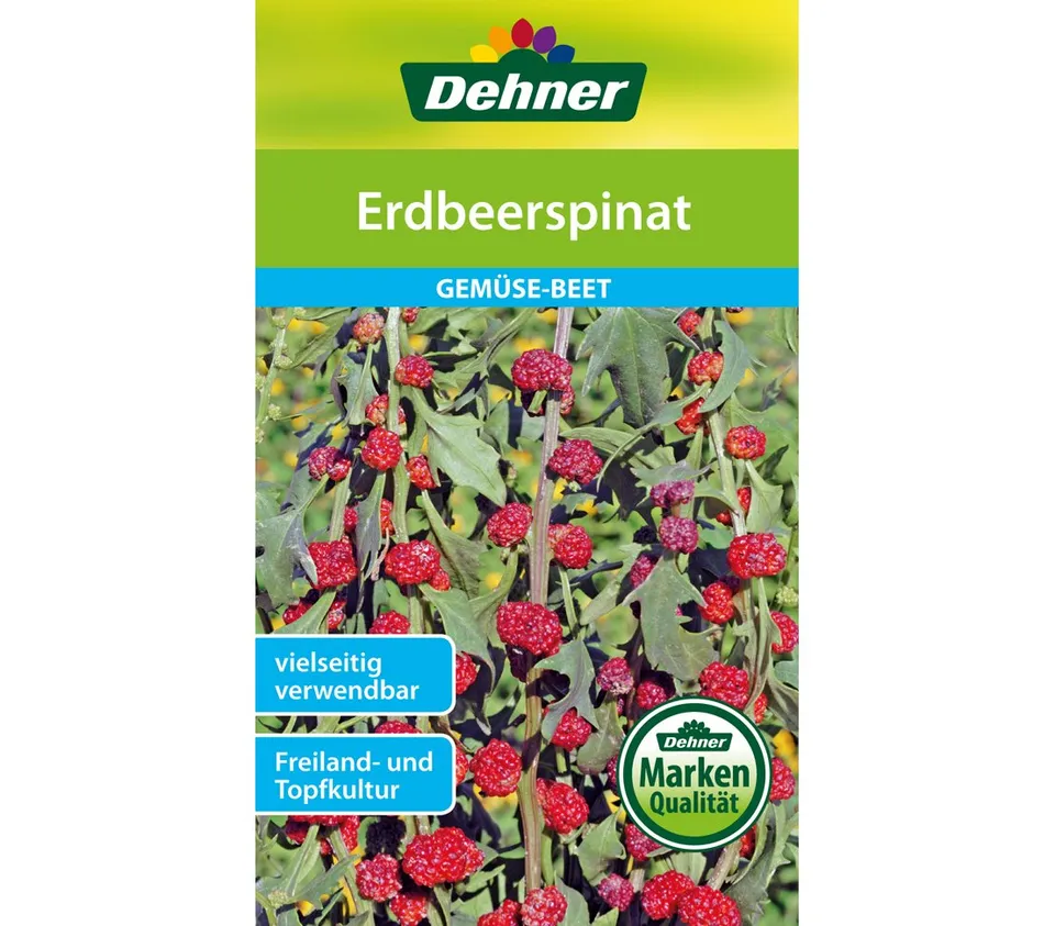 dehner-erdbeerspinat-saatgut-5er-pack-5x4-g-f-r-120-pflanzen image 1