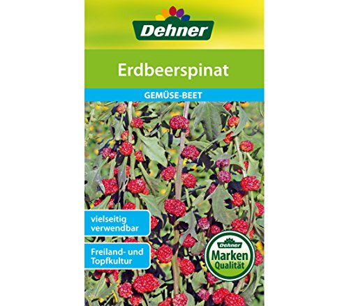dehner-erdbeerspinat-saatgut-5er-pack-5x4-g-f-r-120-pflanzen image 3