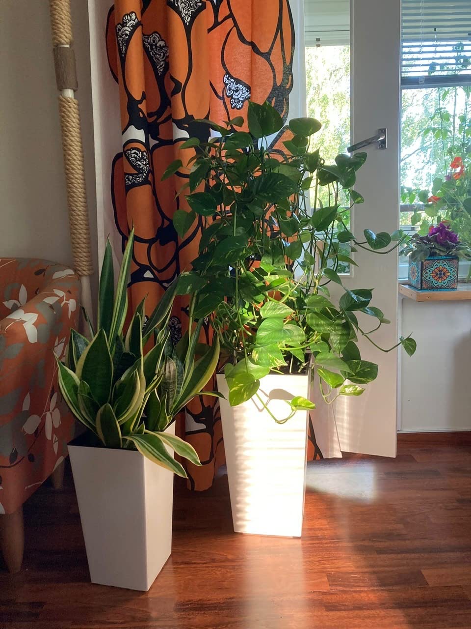 Steht stabil