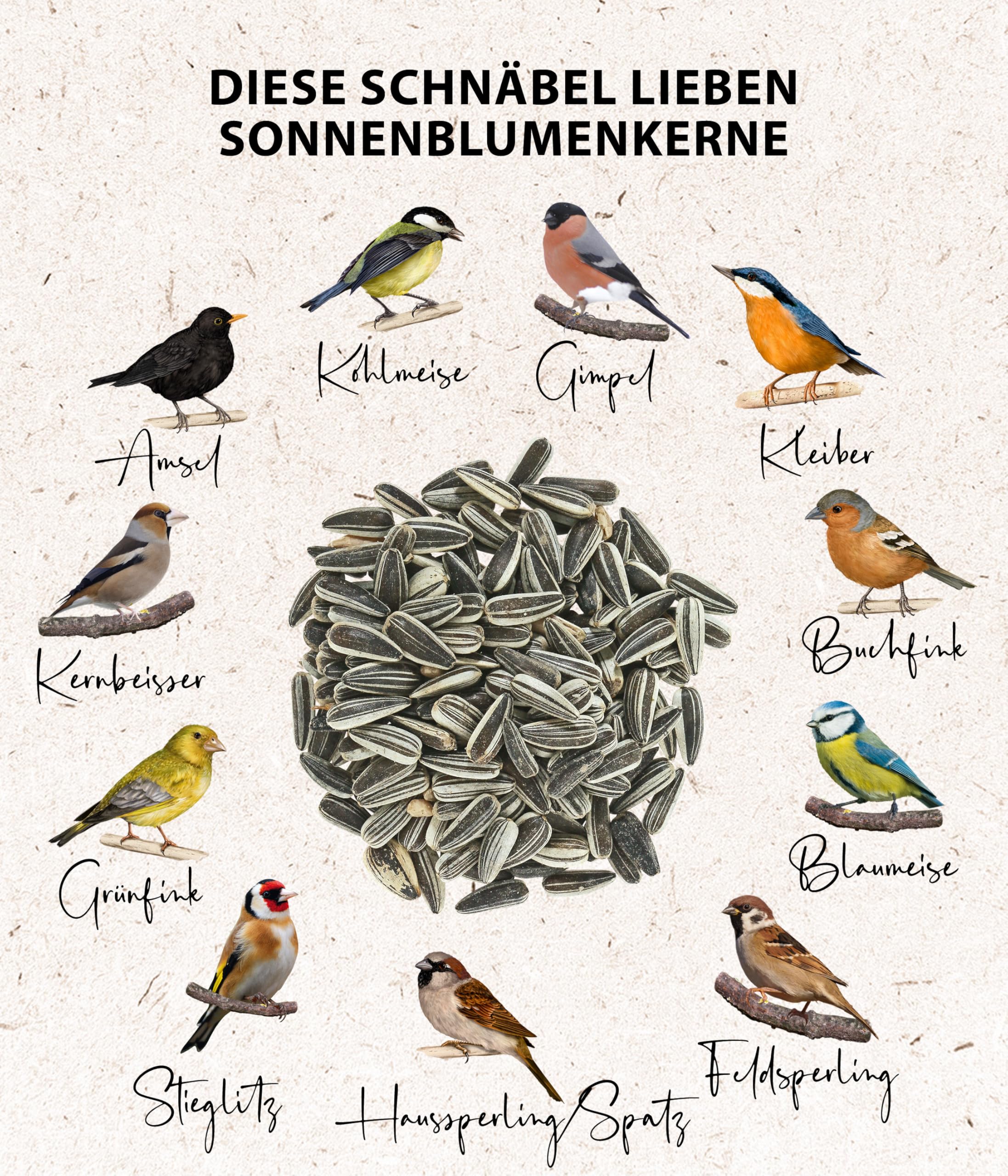 dehner-natura-wildvogelfutter-sonnenblumenkerne-2-2-kg image 4