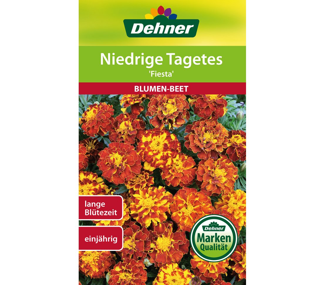 dehner-tagetes-fiesta-blumensamen-5er-pack-einj-hrig-dauerbl-her image 1