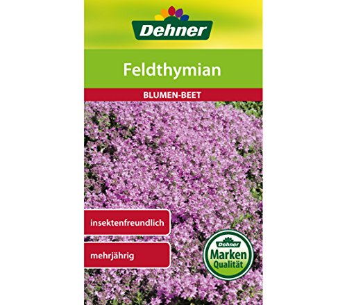 dehner-feldthymian-saatgut-blumen-5er-pack-mehrj-hrig image 3