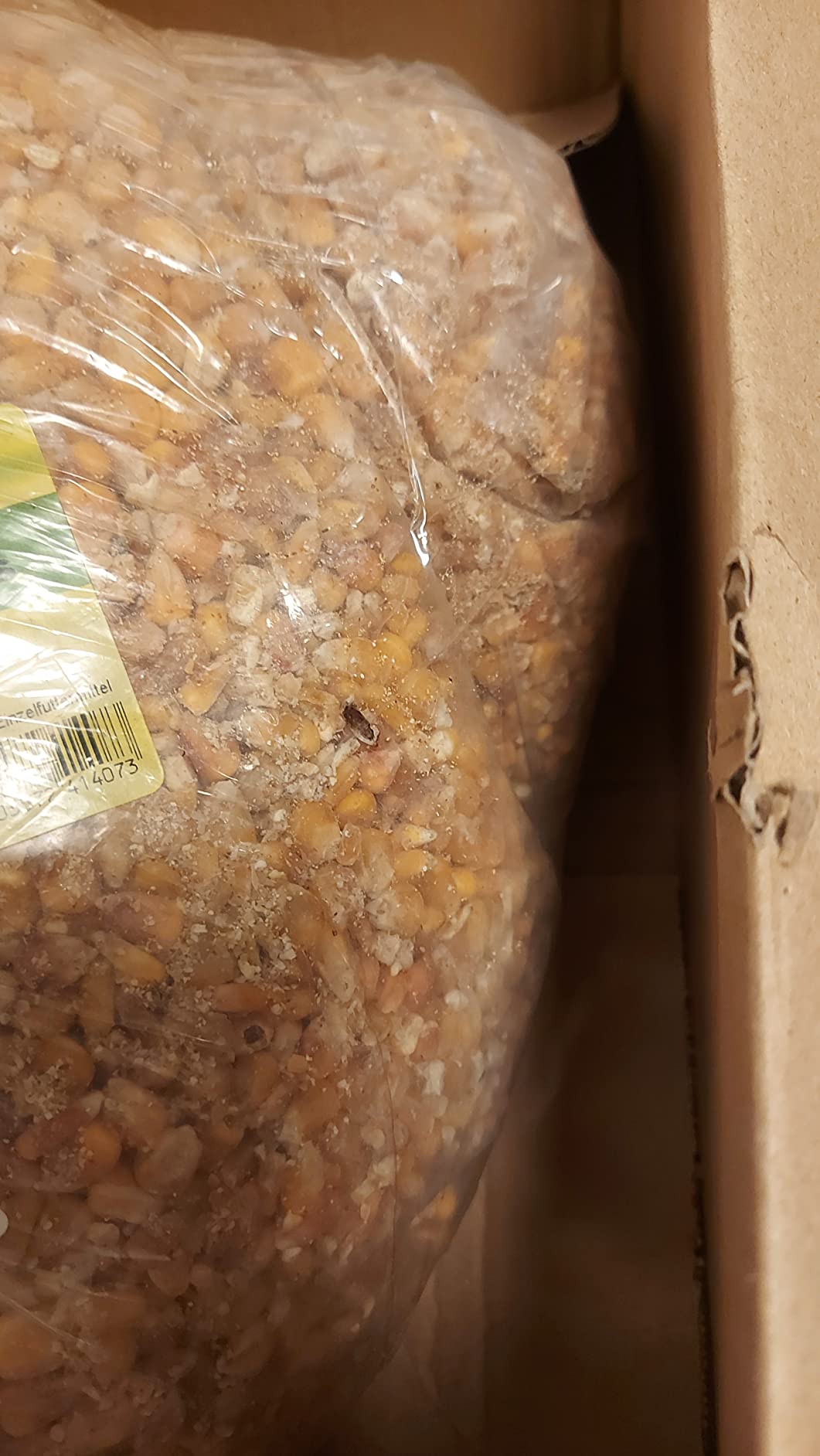 Trocken verpackt