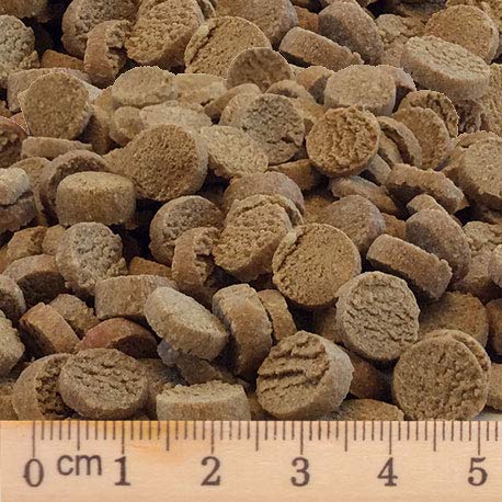 bubeck-trockenfutter-pferd-2-5-kg-hundefutter-getreidefrei image 5