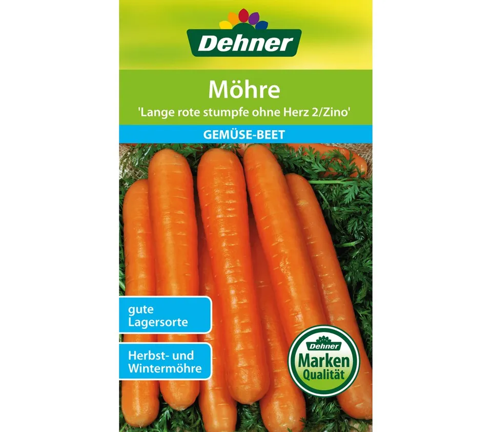 dehner-lange-rote-stumpfe-2-zino-m-hre-saatgut-5x10-g image 1