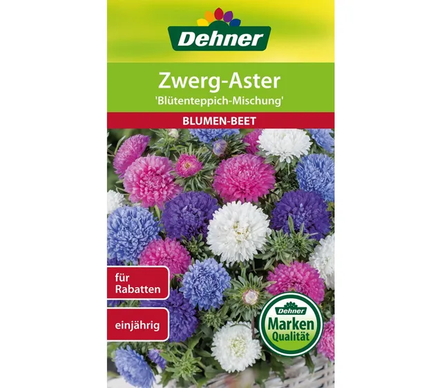 dehner-zwerg-aster-bl-tenteppich-blumensamen-5er-pack-einj-hrig image 1