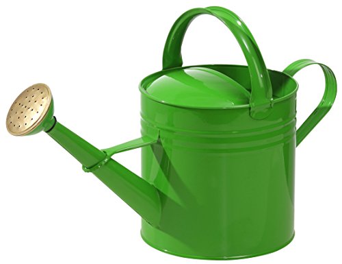 dehner-nostalgisch-gie-kanne-5-l-zink-gr-n image 2