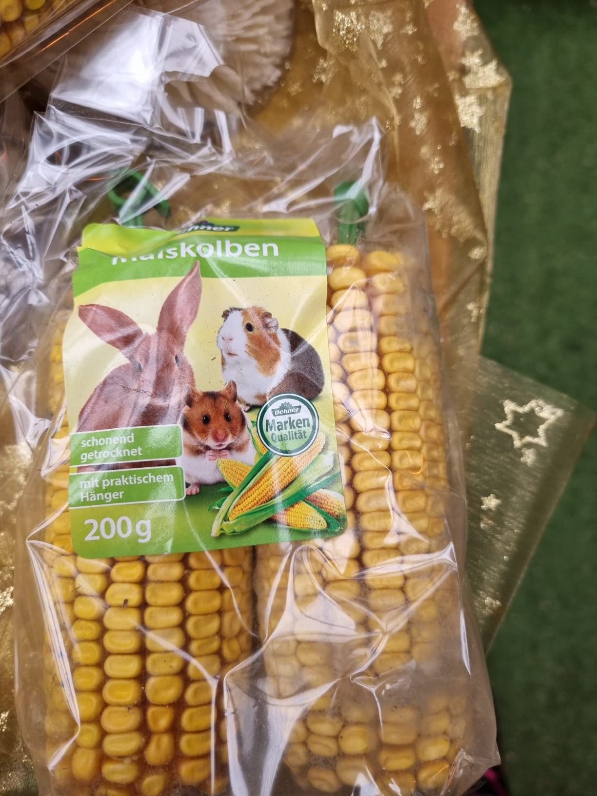 Kaninchen glücklich