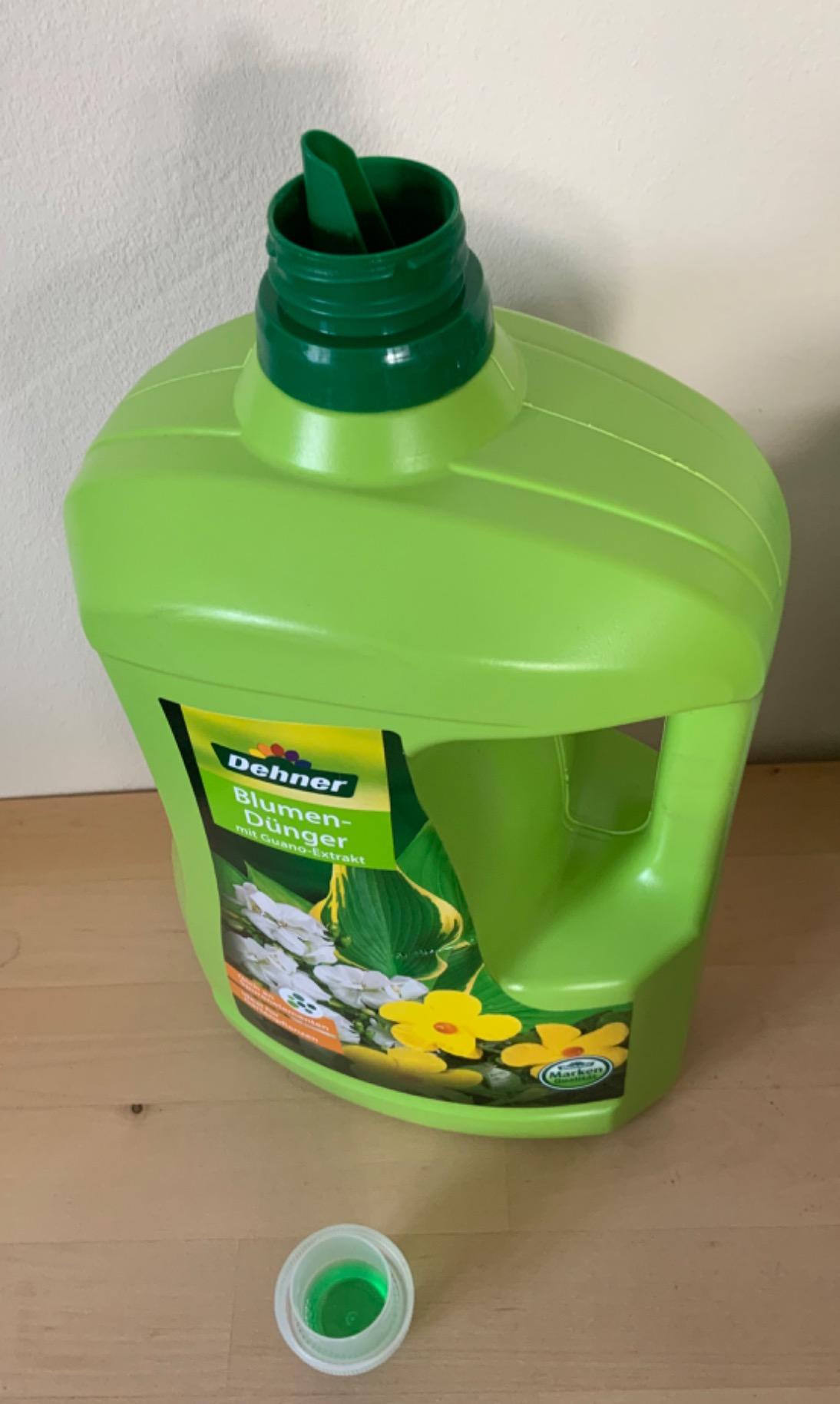Neue Blüten
