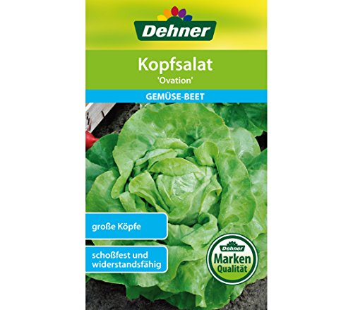 dehner-ovation-kopfsalat-samen-5er-pack-scho-fest image 3