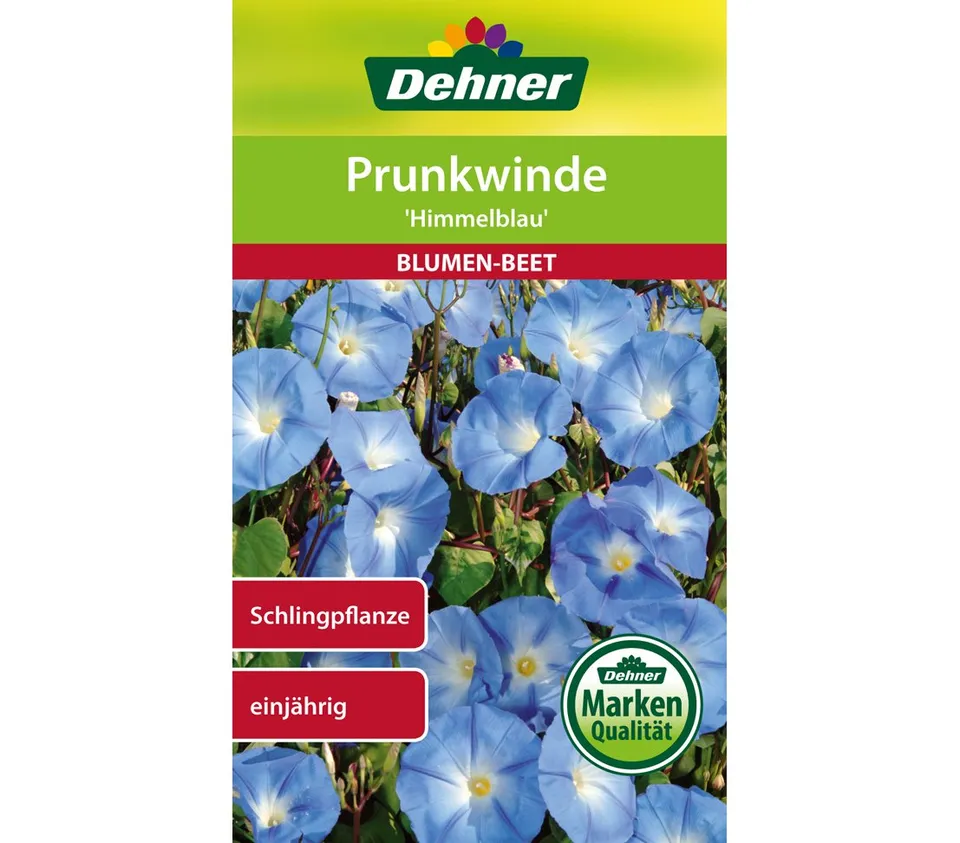 dehner-prunkwinde-himmelblau-blumensamen-5er-pack image 1