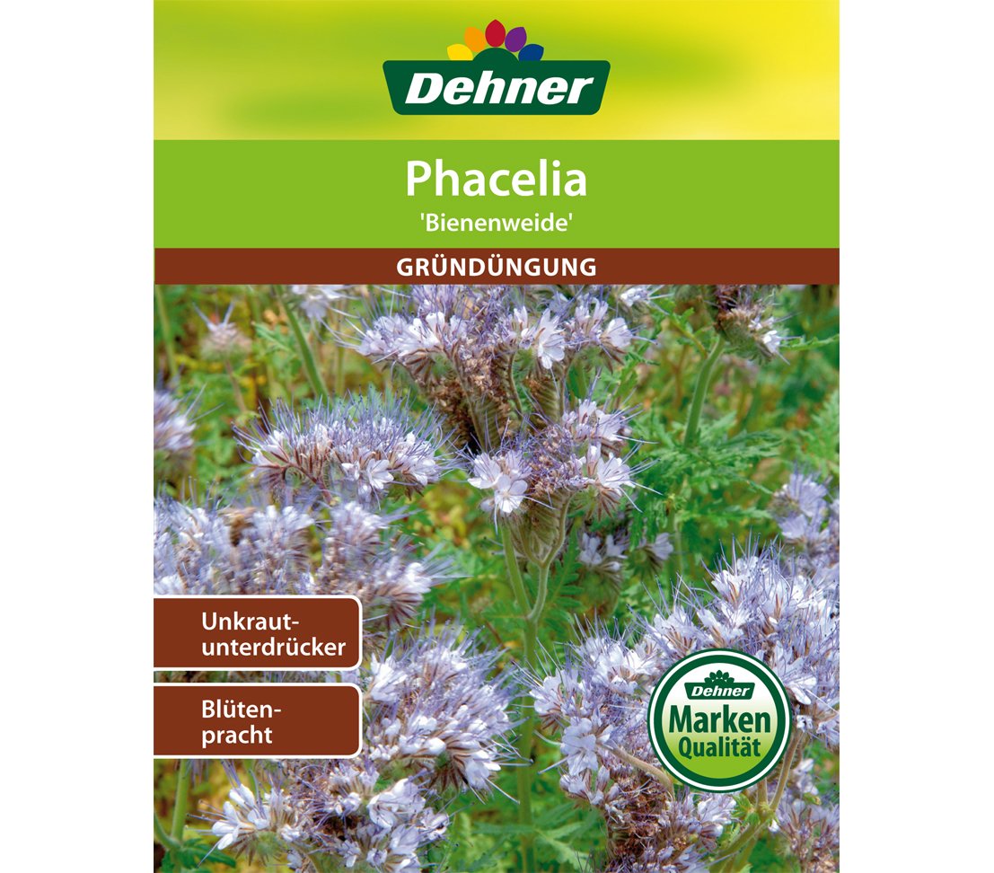 dehner-phacelia-bienenfreund-saatgut-400-g-gr-nd-ngung-f-r-100-qm image 1
