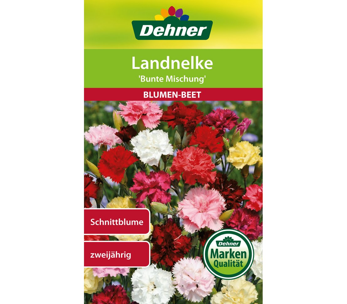 dehner-landnelke-bunte-mischung-blumensamen-5er-pack-zweij-hrig image 1