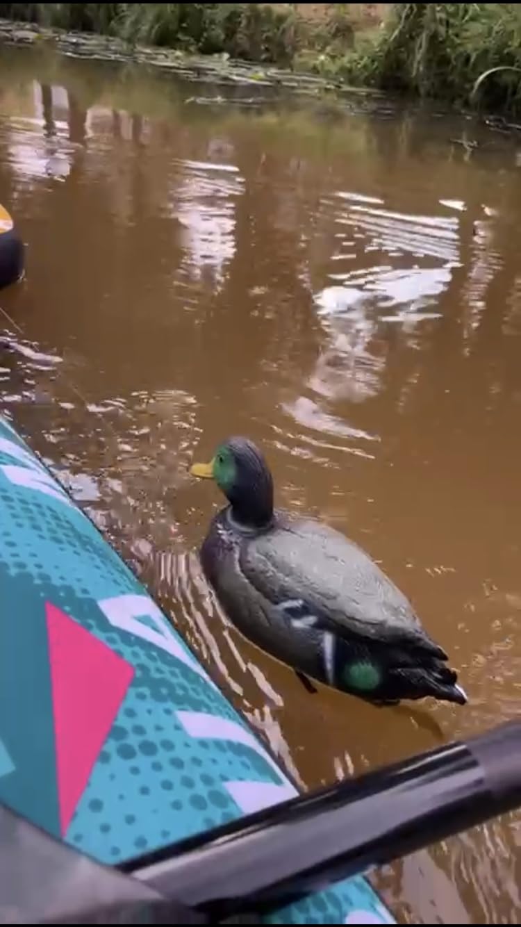 Schwimmt stabil