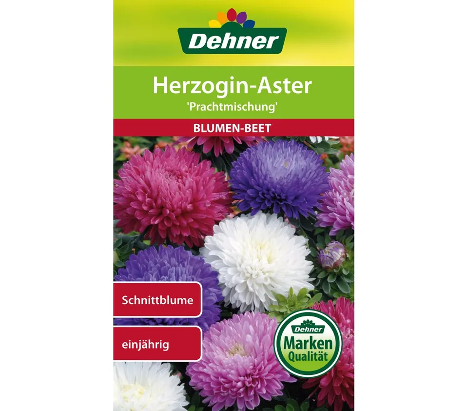 dehner-herzogin-aster-prachtmischung-blumensamen-5er-pack-gef-llt image 1