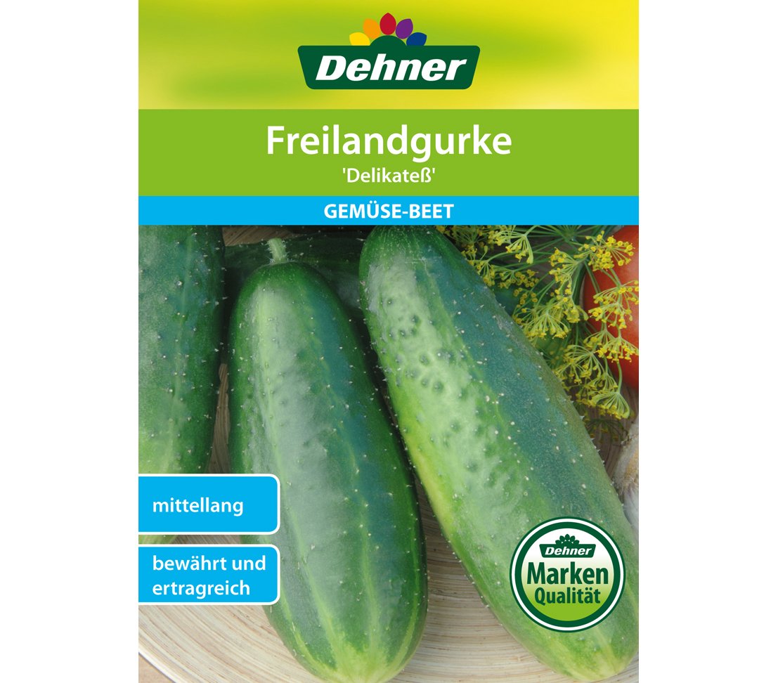 dehner-freilandgurke-delikate-gem-sesaatgut-5x10g-ertragreich image 1