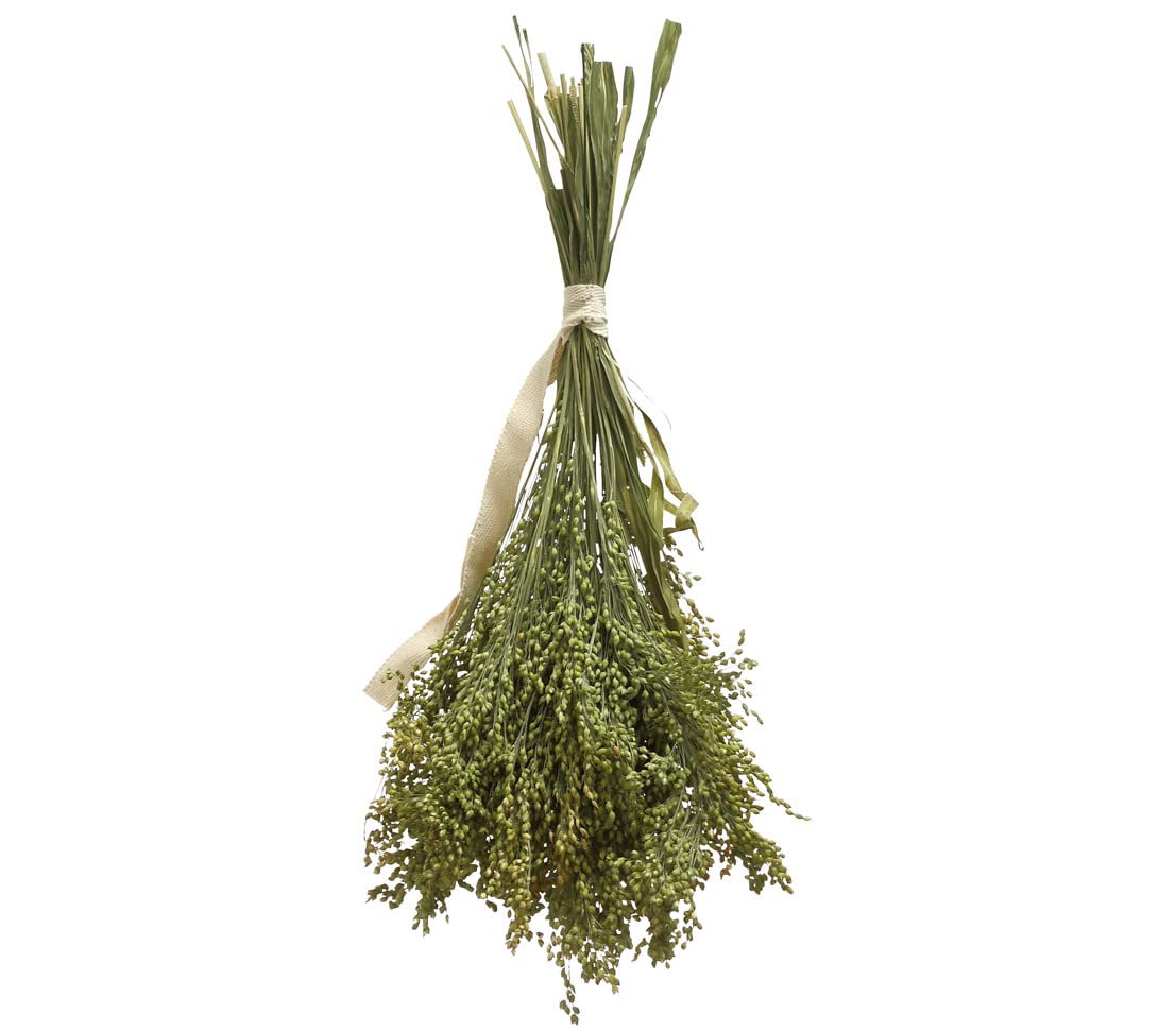 dehner-best-nature-vogelsnack-rispenhirse-10x50g-wellensittich image 3