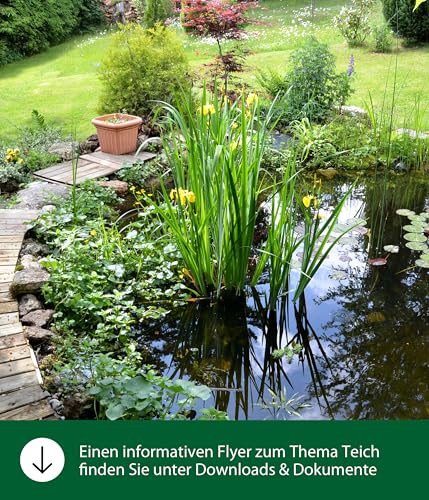 dehner-aqua-wassertest-aquarium-teich-50-teststreifen-ph-nitrit image 4
