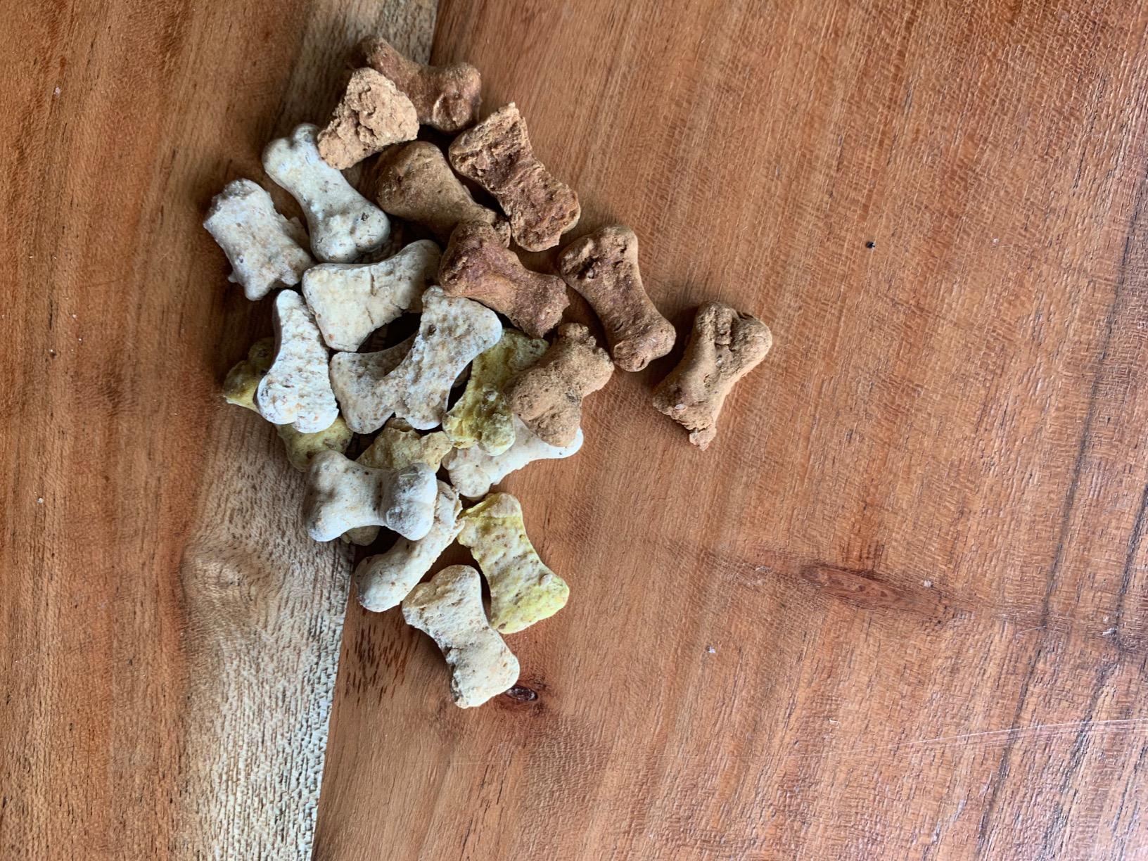 Hund kaut gern