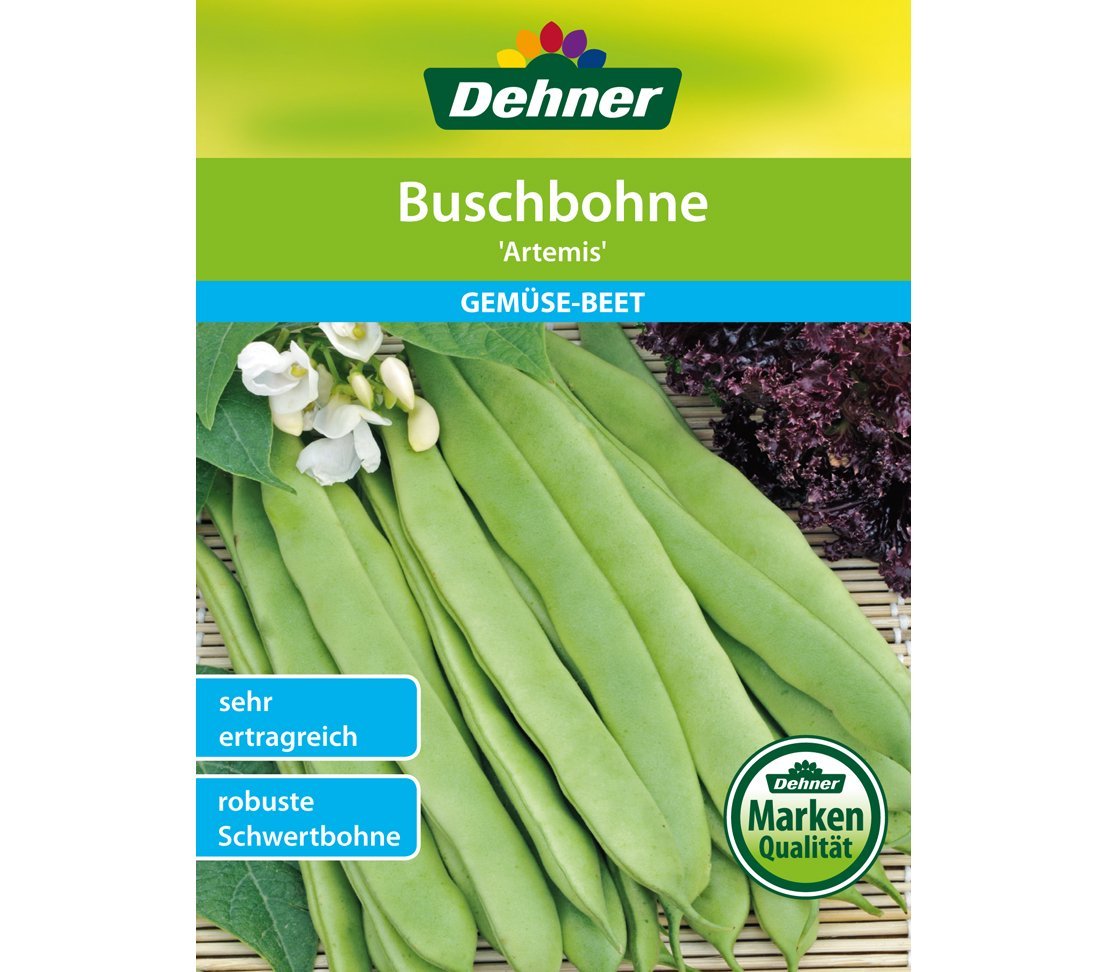 dehner-artemis-buschbohnen-samen-5er-pack-fadenlos image 1