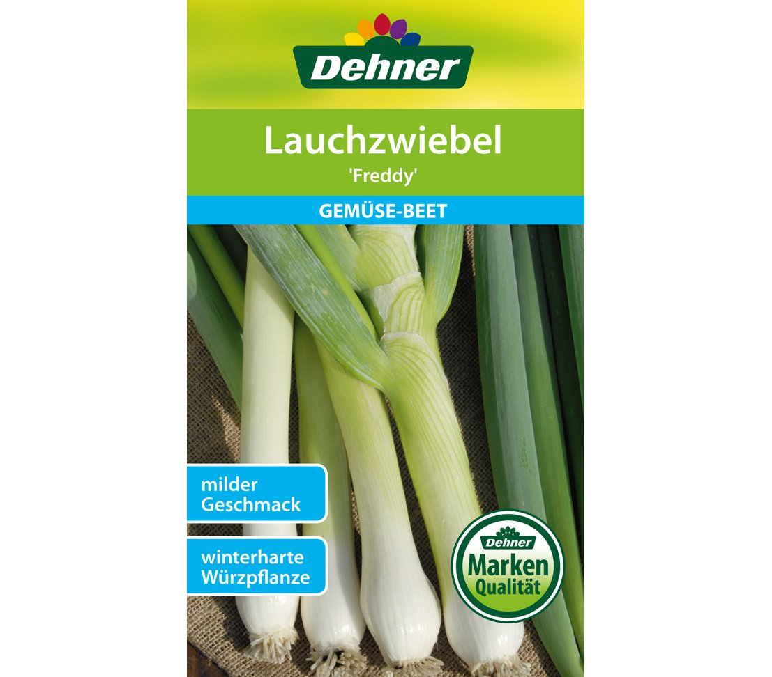 dehner-lauchzwiebel-freddy-samen-5x3g-winterhart image 1