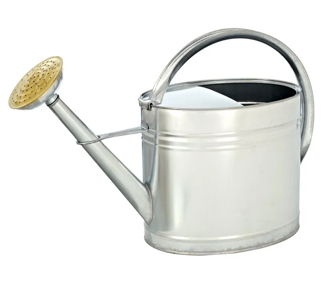 dehner-gie-kanne-nostalgisch-zink-silber-oval-9-l image 1
