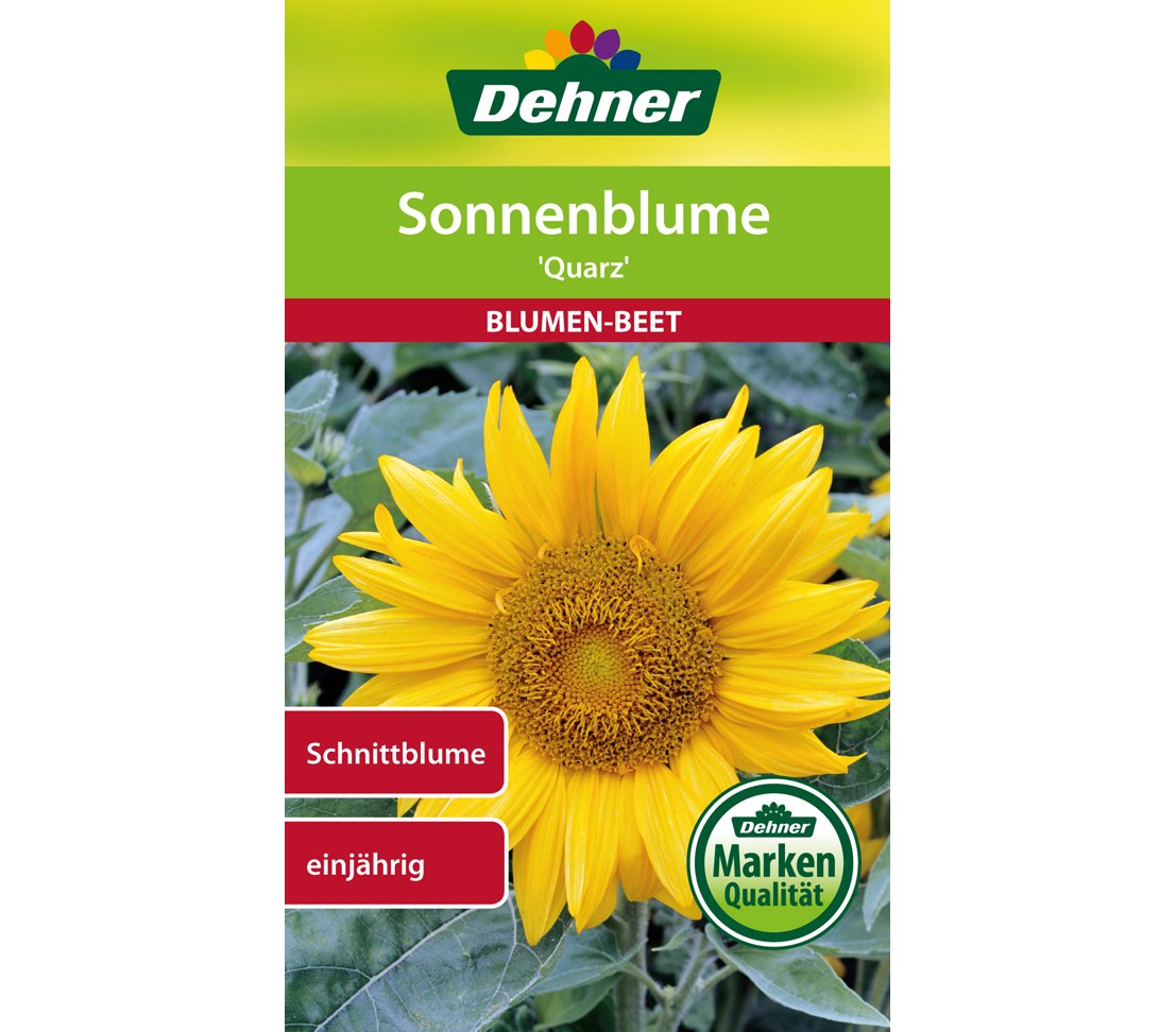 dehner-sonnenblume-quarz-blumensamen-5x3-g-gelb-120-cm image 1