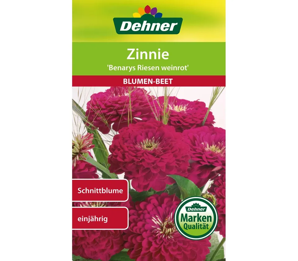 dehner-wild-nature-benarys-riesen-zinnie-samen-weinrot-5er-pack image 1