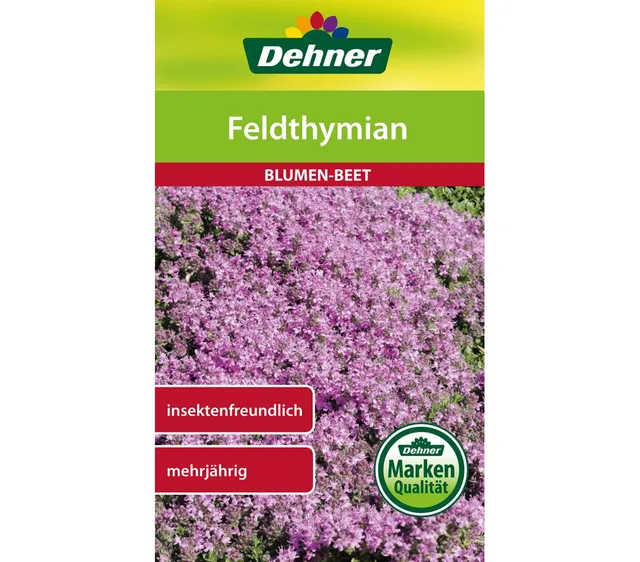 dehner-feldthymian-saatgut-blumen-5er-pack-mehrj-hrig image 1