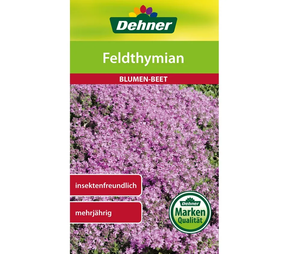 dehner-feldthymian-saatgut-blumen-5er-pack-mehrj-hrig image 1