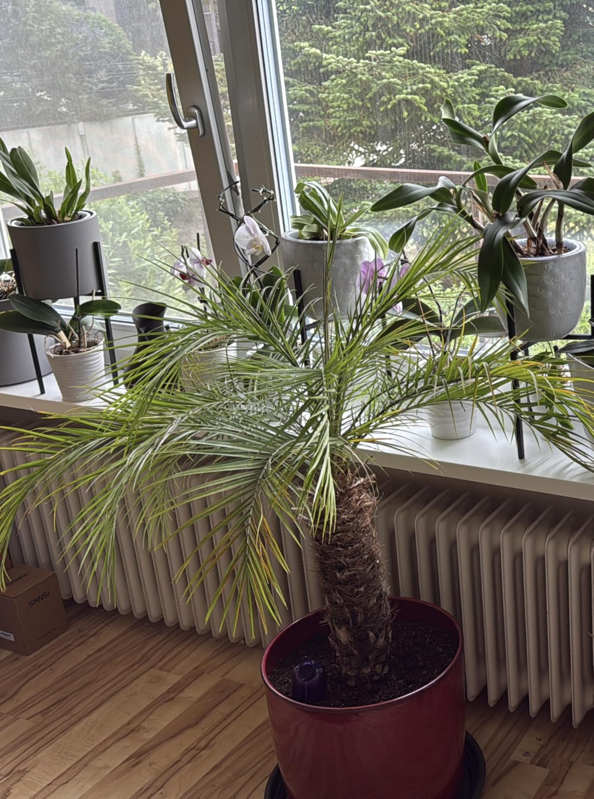 Riecht kaum