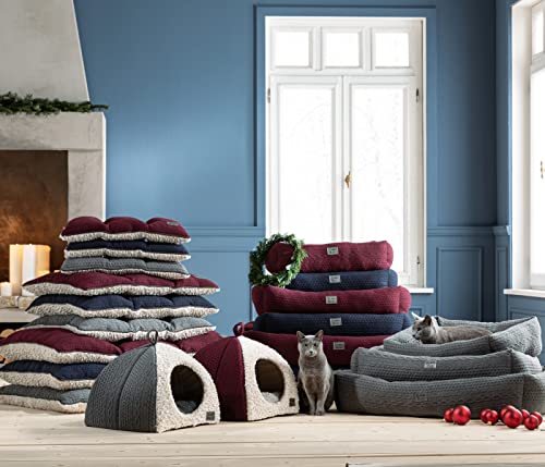 dehner-lieblinge-dream-team-kuschelkissen-rot-61x74-cm image 5