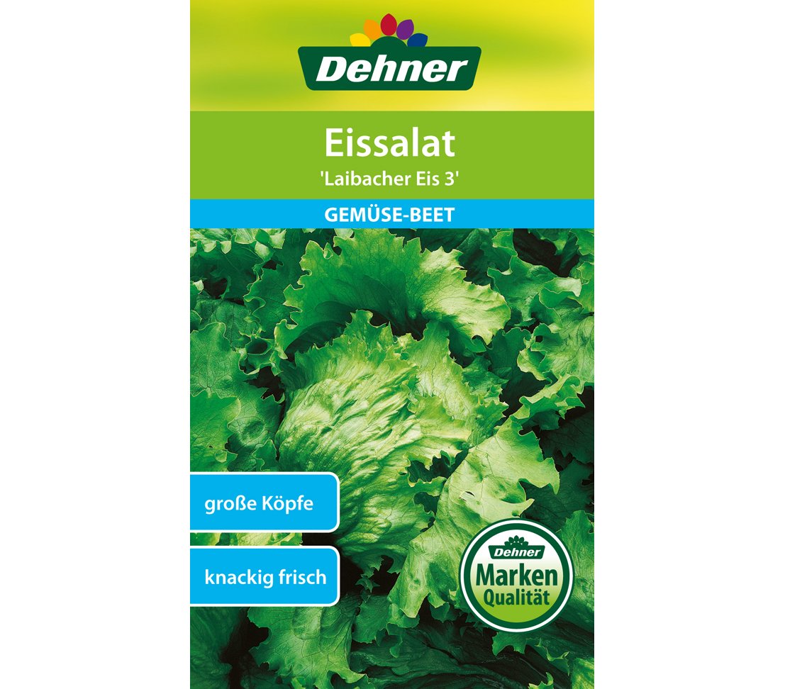 dehner-laibacher-eis-3-eissalat-samen-5er-pack-knackig image 1