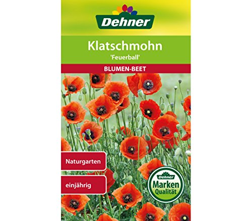 dehner-klatschmohn-feuerball-blumensamen-5er-pack-einj-hrig image 3
