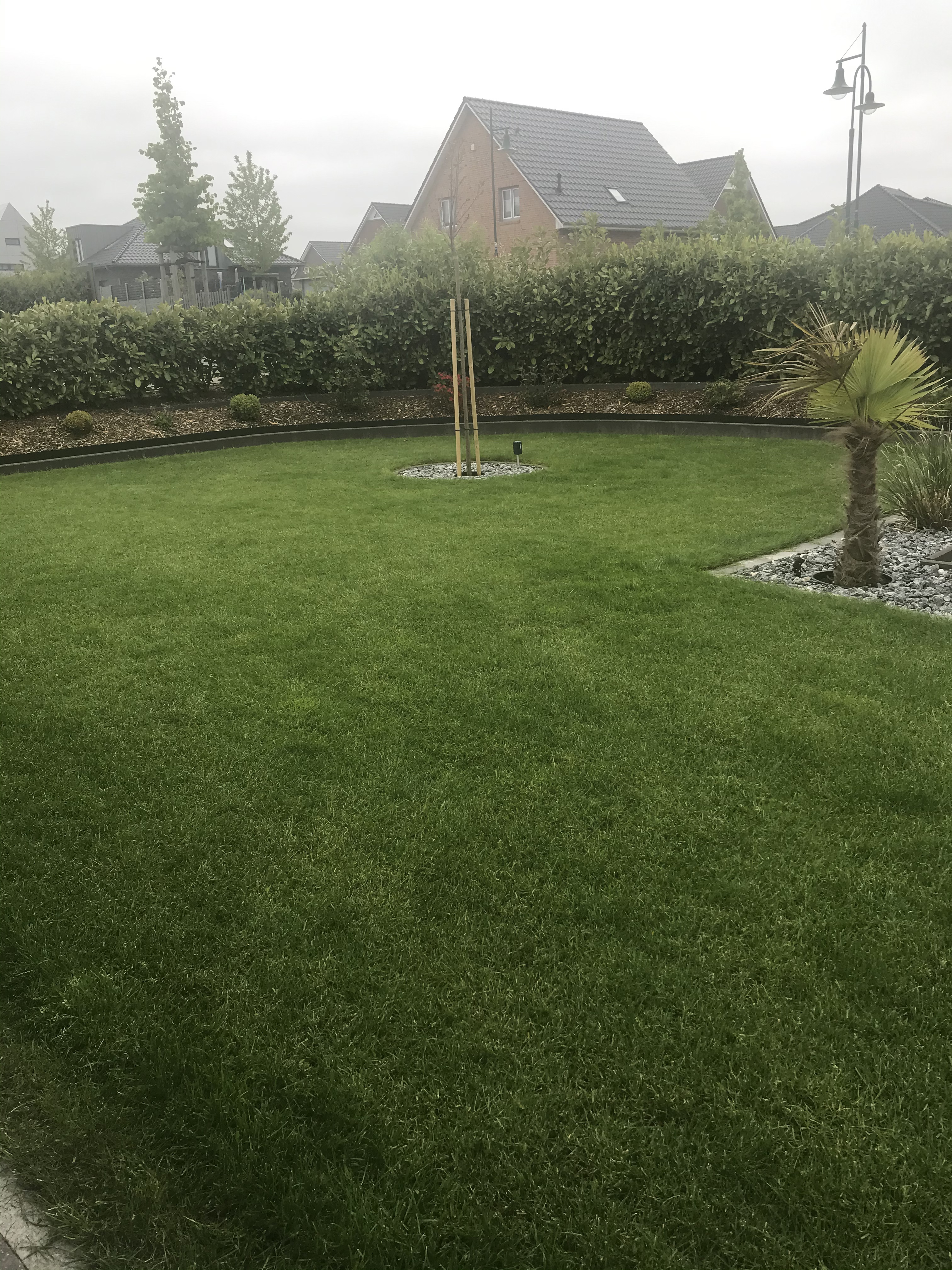 Streut gleichmäßig