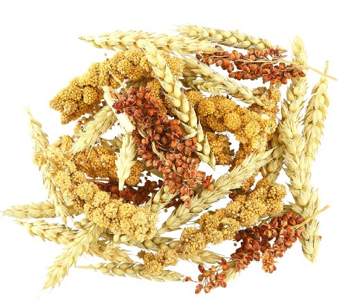 dehner-best-nature-nagersnack-getreide-hren-3x50-g image 6