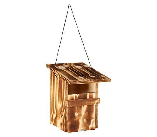 dehner-natura-nistkasten-halbhh-hle-vogelhaus-holz-braun image 4